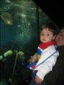 2008-05-11 09-48-12_0038